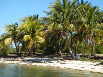 Enlarge photo 4