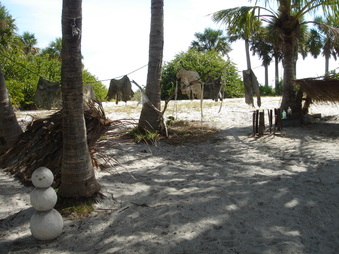 Enlarge photo 47