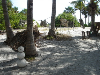 Enlarge photo 48