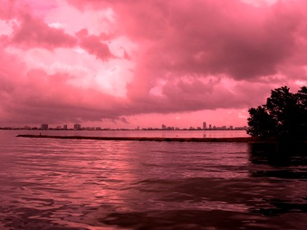 Enlarge photo 76