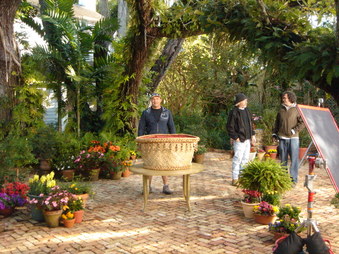 Enlarge photo 39