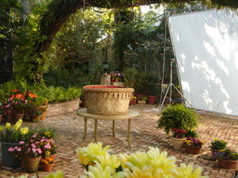 Enlarge photo 20
