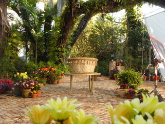 Enlarge photo 7