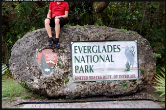 Enlarge photo 121