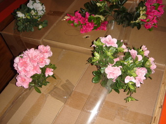 Enlarge photo 97