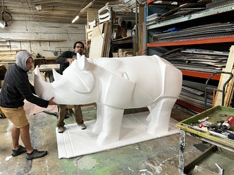 WHITE RHINO