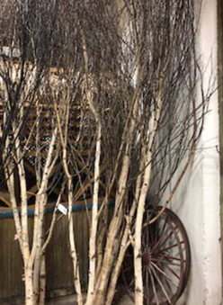 Enlarge photo 26
