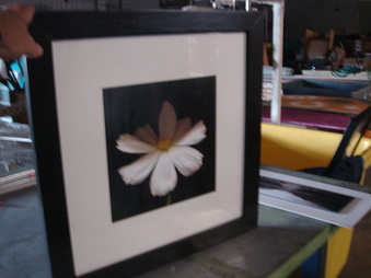 Enlarge photo 37
