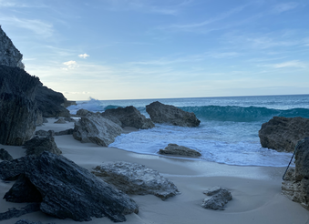 Enlarge photo 30
