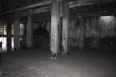 Enlarge photo 65
