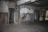 Enlarge photo 66