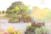Nurseries