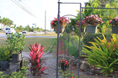 Enlarge photo 2