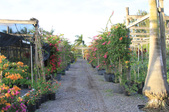 Enlarge photo 27