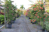 Enlarge photo 26