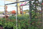 Enlarge photo 29