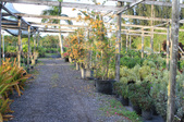 Enlarge photo 30