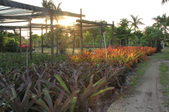Enlarge photo 33