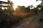Enlarge photo 34