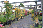 Enlarge photo 36