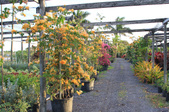 Enlarge photo 37