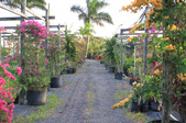 Enlarge photo 40