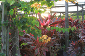 Enlarge photo 38