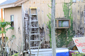 Enlarge photo 39