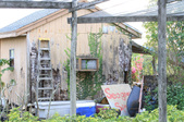 Enlarge photo 42
