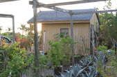 Enlarge photo 43