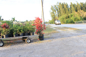 Enlarge photo 44