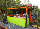 Enlarge photo 31