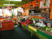 Enlarge photo 16