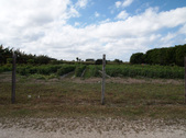 Enlarge photo 1