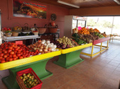Placita S.