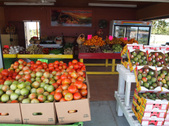 Enlarge photo 14