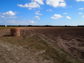 Enlarge photo 33