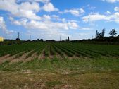 Enlarge photo 1