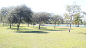 Enlarge photo 37