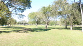 Enlarge photo 41