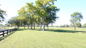 Enlarge photo 43