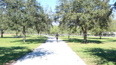 Enlarge photo 44