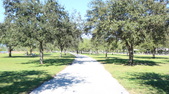 Enlarge photo 46