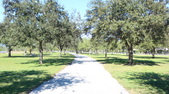 Enlarge photo 47