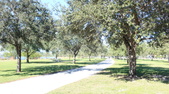 Enlarge photo 48