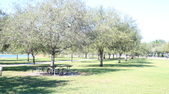 Enlarge photo 49