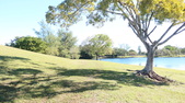 Enlarge photo 60