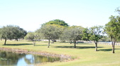 Enlarge photo 62