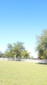 Enlarge photo 56