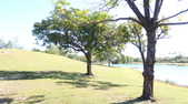 Enlarge photo 58